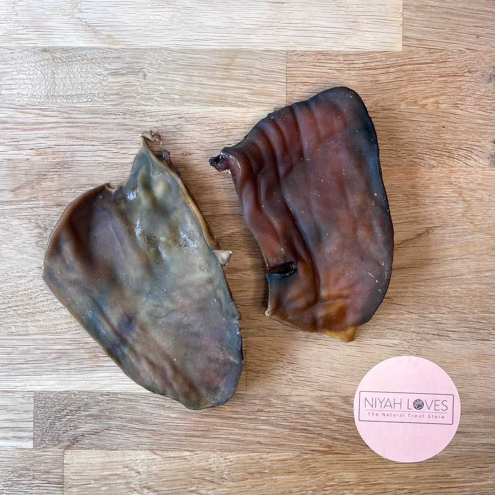 “Natural camel skin plates dog chews – long-lasting, hypoallergenic”