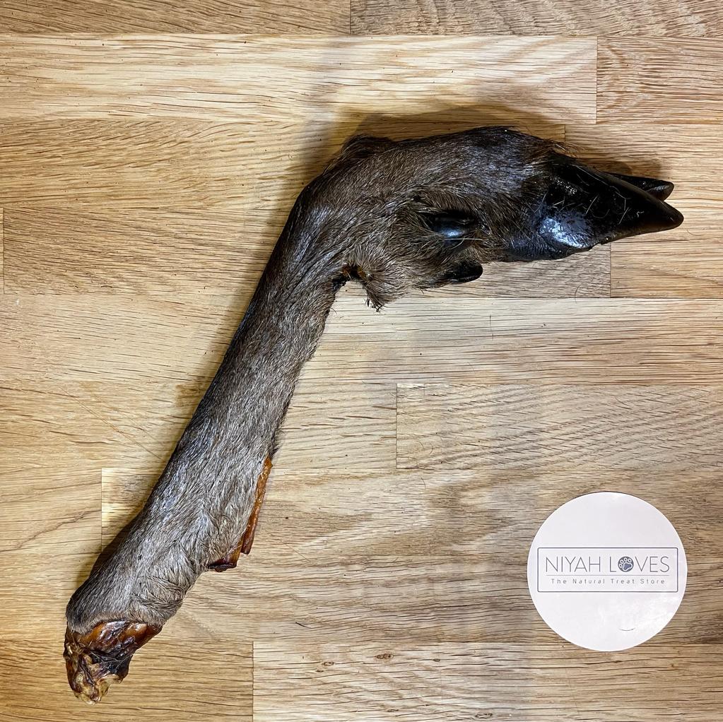 "Hairy Giant Deer Legs dog chew – hypoallergenic, high protein, natural dental health treat"