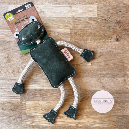 Eco Friendly Dog Toy Frog