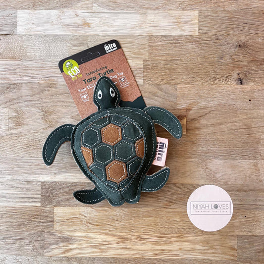 Eco Friendly Dog Toy Turtle